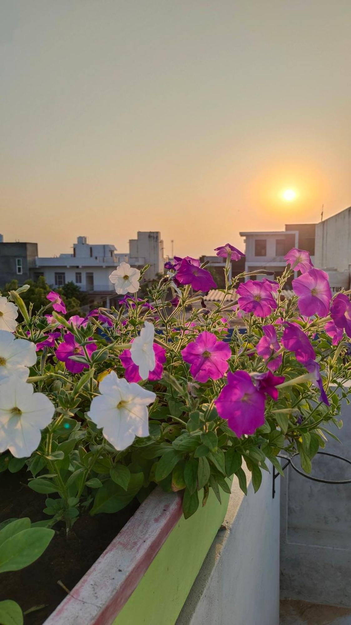 Iora Guest House Bharatpur Exterior photo